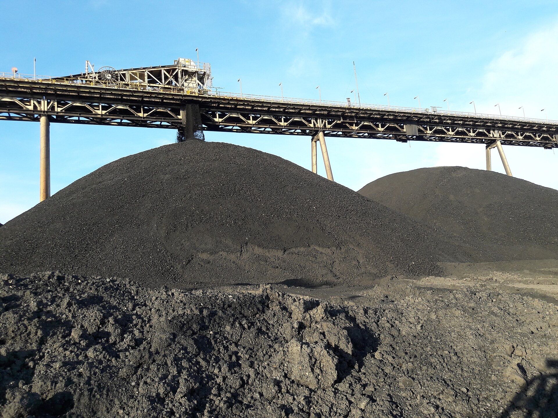 Coal stockpile and conveyor